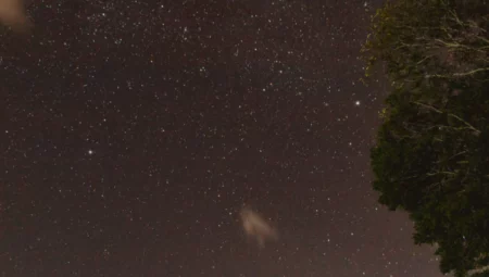 Yıldızların Altında Bir Gece: Astronomi ve Kamp